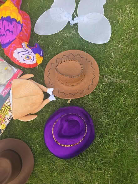 Photo of free Random selection of fancy dress (Bladon OX20) #4