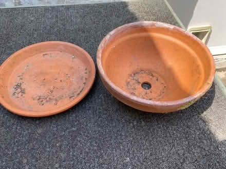 Photo of free Terracotta planter (Stockwell) #3