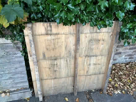 Photo of free Scrap wood panels (Eastbourne BN21) #2