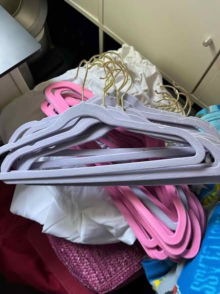 Photo of free Coat hangers (OX1, Kennington) #1