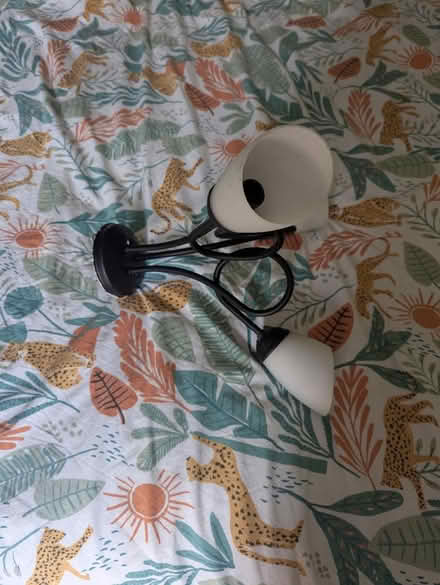 Photo of free Ceiling light (Sheffield S12) #4