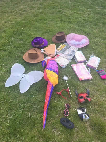 Photo of free Random selection of fancy dress (Bladon OX20) #1