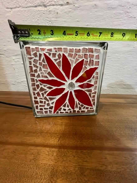 Photo of free Christmas Pointsettia Light (Fairland) #2