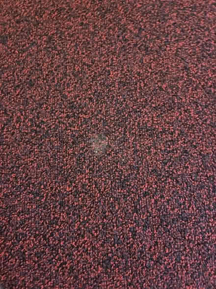 Photo of free Burgundy area rug (Odenton Kings Heights) #4