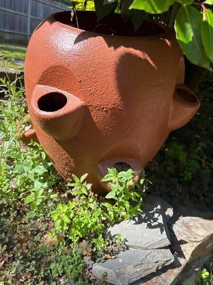 Photo of free plastic strawberry planter (UpperHale GU9) #2