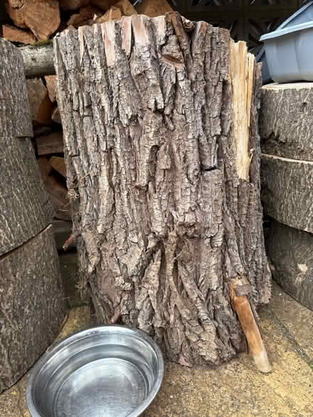 Photo of free log rounds (OX16 Cherwell heights) #3