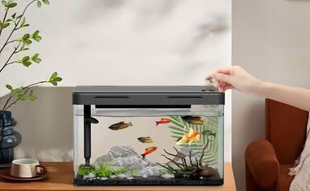 Photo of Fish tank (Northmoor OX29) #1