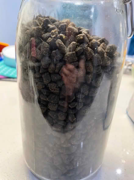 Photo of free Eden dog food (Cambridge CB1) #2