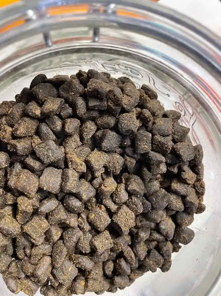 Photo of free Eden dog food (Cambridge CB1) #1