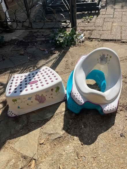Photo of free Toddler toilet training bits (Maidenhead SL6) #1