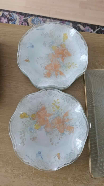 Photo of free Plates and trays (South harrow HA2) #2