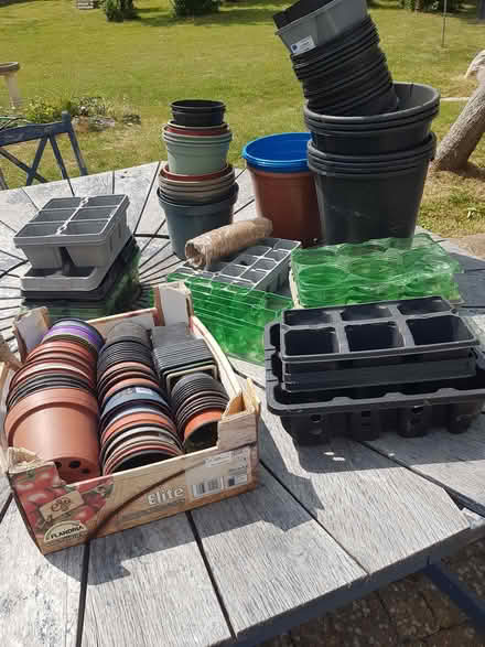 Photo of free Plastic flower pots and seed trays (Orpington BR6) #1