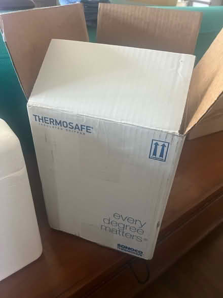 Photo of free Styrofoam cooler & 3 ice packs (Hawthorne) #3