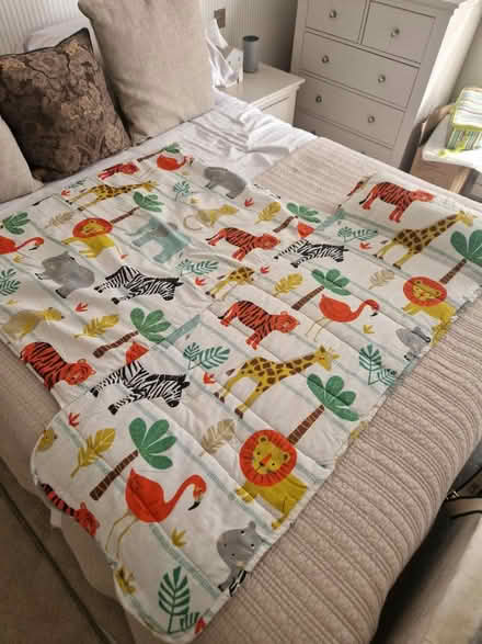 Photo of free Baby travel quilt (Blackheath) #1