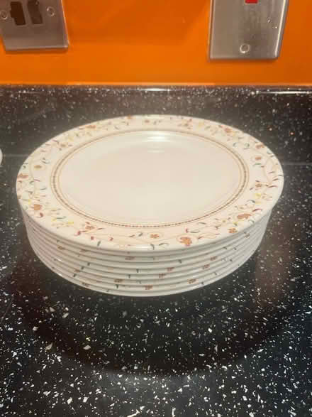 Photo of free Plastic picnic plates (Stenson Fields CP DE24) #1