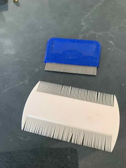 Photo of free Nit combs (Bracknell RG12) #1