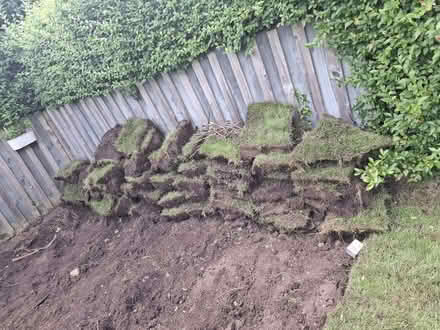 Photo of free Lawn Sod (BT4) #1