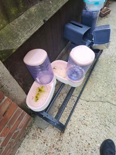 Photo of free Cat food and water dispenser (E8) #2