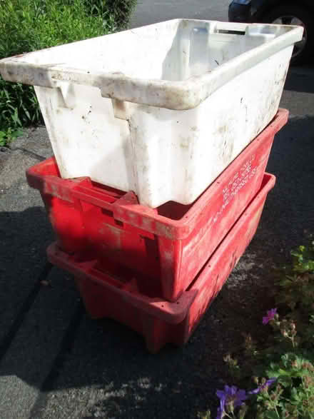 Photo of free Three tall format nest and stack fish boxes (Llanystumdwy LL52) #1