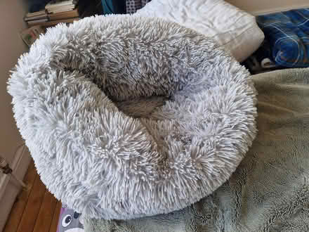 Photo of free Pet's bed (Harlow South CM18) #1
