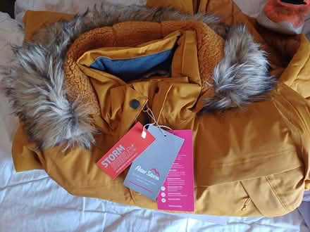 Photo of free Womens coat (size 20) (Gl4 6GE) #3