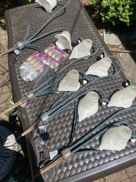 Photo of free 4 low voltage landscape lights (Belmont, MA) #2