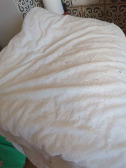 Photo of free Thin double duvet (Prenton CH43) #2