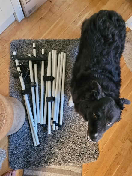 Photo of free Clothes rail/ open wardrobe (BN1) #1