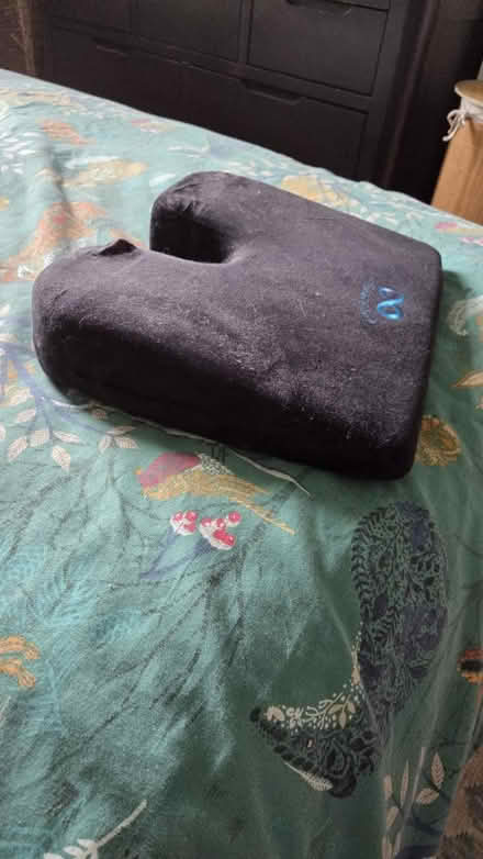 Photo of free Chair cushion (Twickenham) #2
