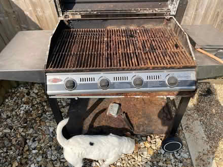 Photo of free beefeater bbq (PO19 6ET) #2