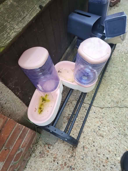 Photo of free Cat food and water dispenser (E8) #1