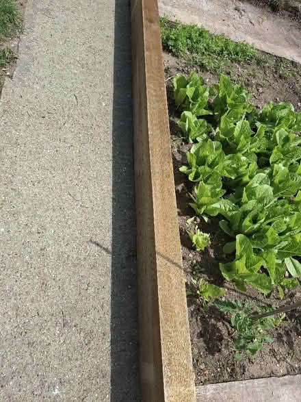 Photo of Sleeper (Watton at Stone SG14) #1