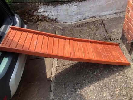 Photo of free Dog ramp (Bulwell NG6) #1