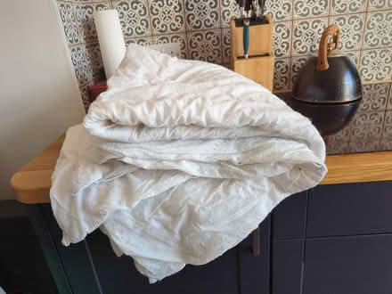 Photo of free Thin double duvet (Prenton CH43) #1