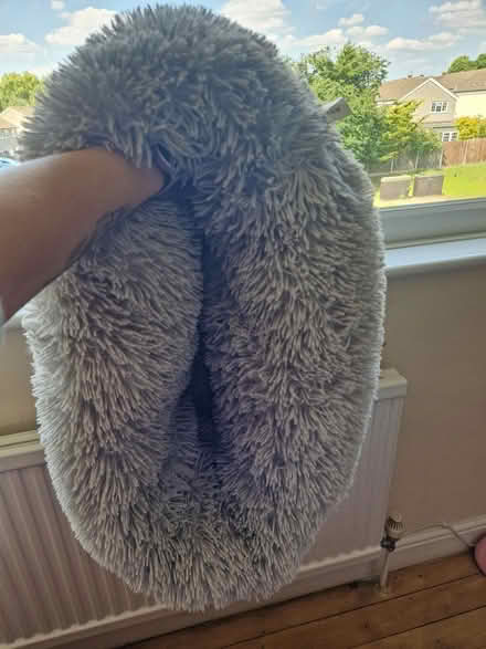 Photo of free Pet's bed (Harlow South CM18) #3
