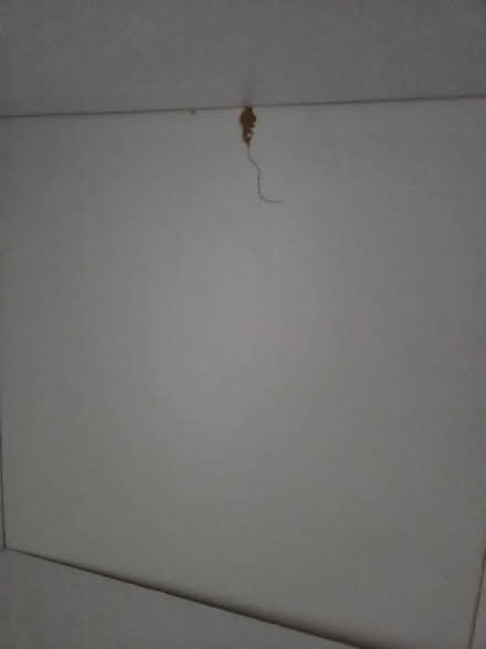 Photo of free Bookshelf (Gospel Oak NW3) #2