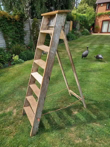 Photo of free Builders Step Ladder (Bransford WR6) #1