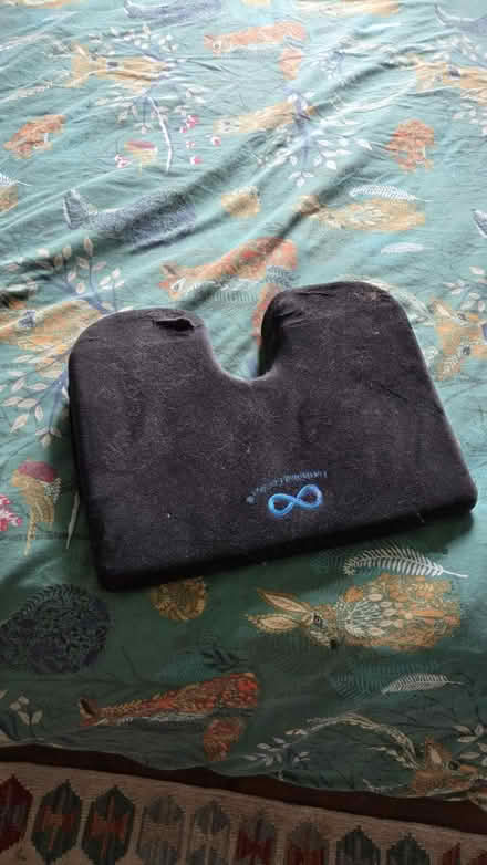Photo of free Chair cushion (Twickenham) #1