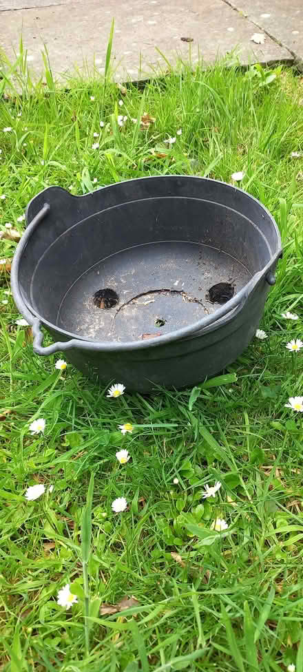 Photo of free Hanging basket base (Polegate BN26) #1