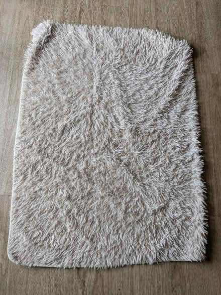 Photo of free Dog blanket 4x3 ft (Caldecott OX14) #1