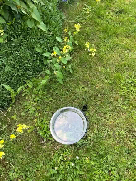 Photo of free Bird feeder (AL5 Harpenden) #3