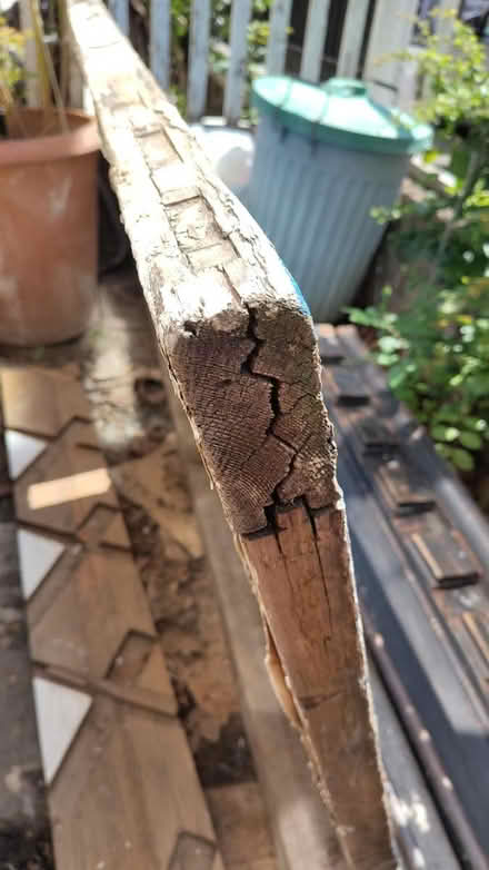 Photo of free Old Solid Wood Door (SW11 5) #2