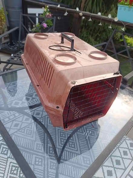 Photo of free Cat Basket ... Easily fits two (Branksome Poole) #1