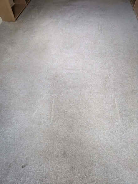 Photo of free Carpet (Malvern Link WR14) #1