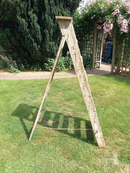 Photo of free Builders Step Ladder (Bransford WR6) #2