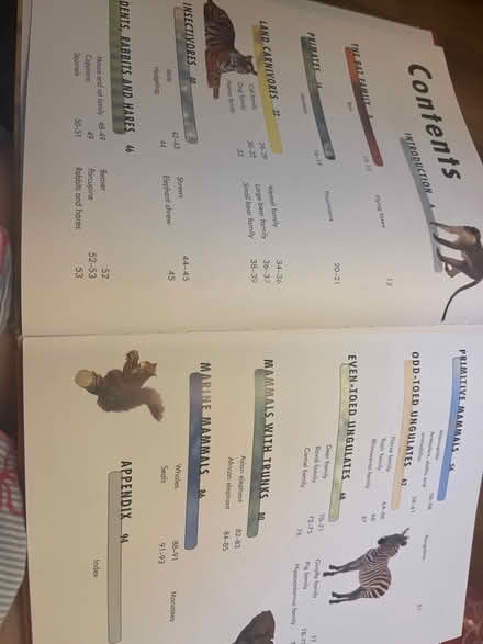 Photo of free Mammals Compact Knowledge book (Emscote Mill CV34) #2