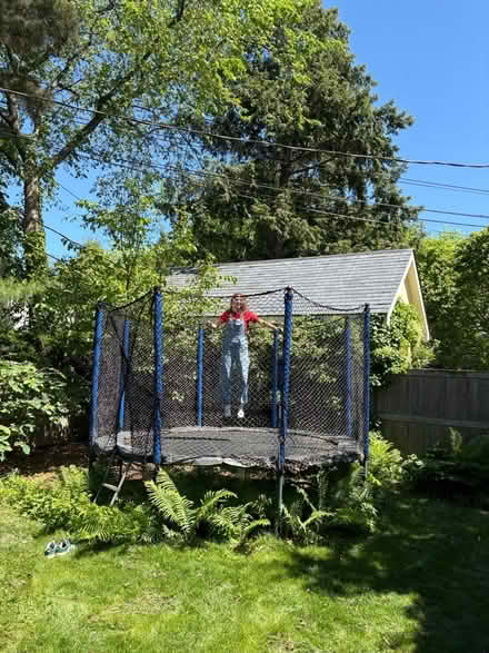 Photo of free Trampoline (59 Larchwood Dr Cambridge MA) #1