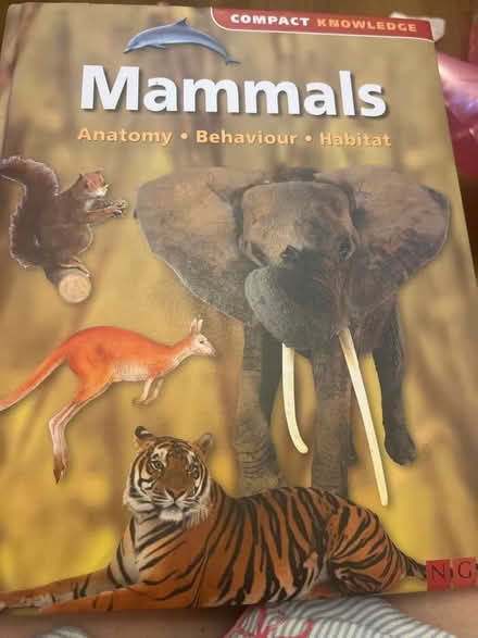 Photo of free Mammals Compact Knowledge book (Emscote Mill CV34) #1