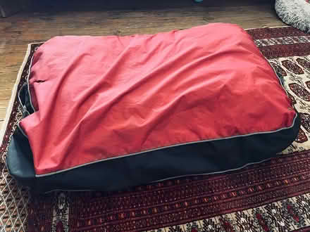 Photo of free Large dogs bed (Teignmouth TQ14) #1