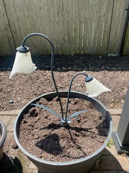 Photo of free 4 low voltage landscape lights (Belmont, MA) #1